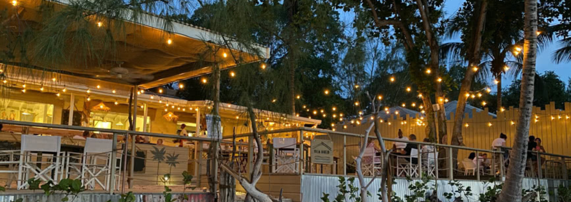 Visit us online (1123 x 794 px) (1123 x 397 px) (2).png (1)