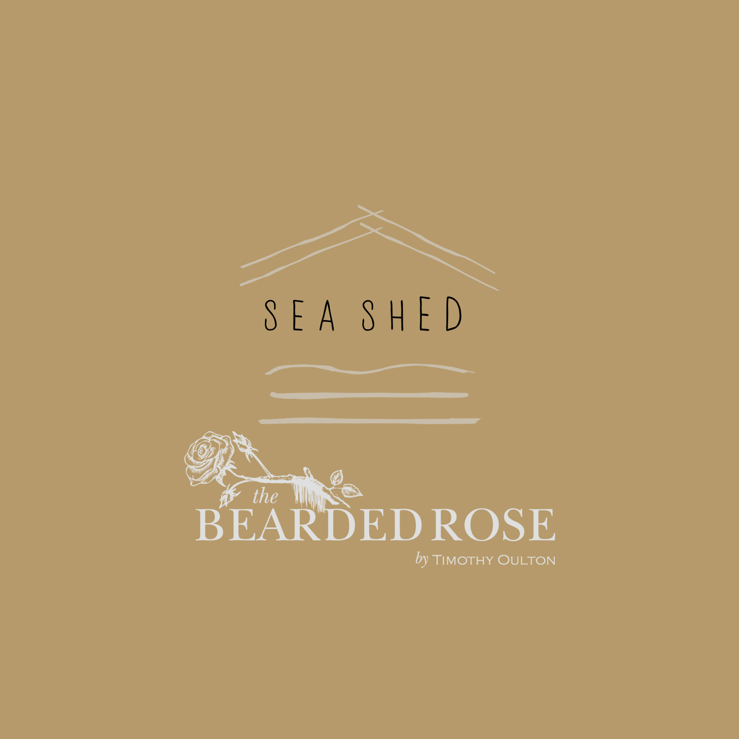 CSME Certificate (2).png (3)