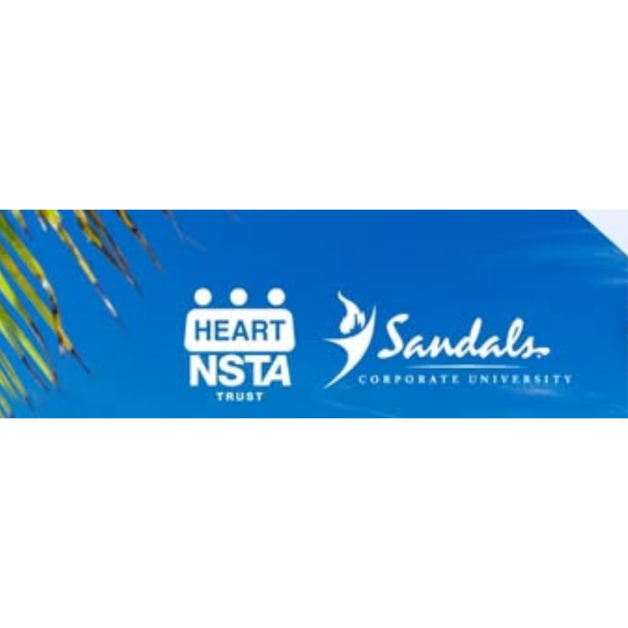 CSME Certificate (9).png